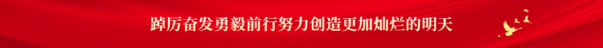 踔厲奮發勇毅前行努力創造更加燦爛的明天